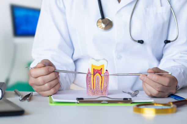 Best Emergency Dental Extractions in Niceville, FL